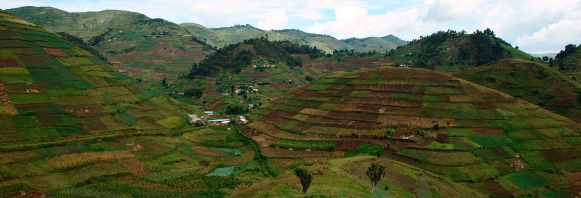 What is the vital data infrastructure for agriculture?